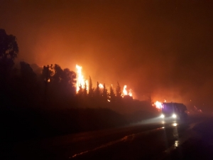 Özdere’de Dumanların Etkilediği İki Otel Boşaltıldı