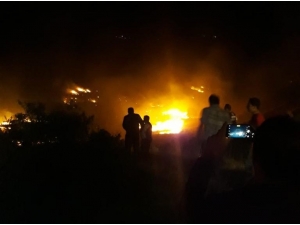 Elazığ’da Orman Yangını