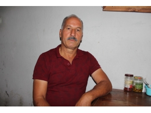 Patronlarını Domuz Bağıyla Bağlayıp İşkence Yaptılar