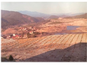 Emet’te 258 Bin 175 Fidan Toprakla Buluştu