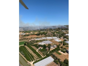 Antalya’da Orman Yangını