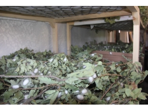 Evinin Boş Odası 42 Günde 3,500 Tl Kazandırd