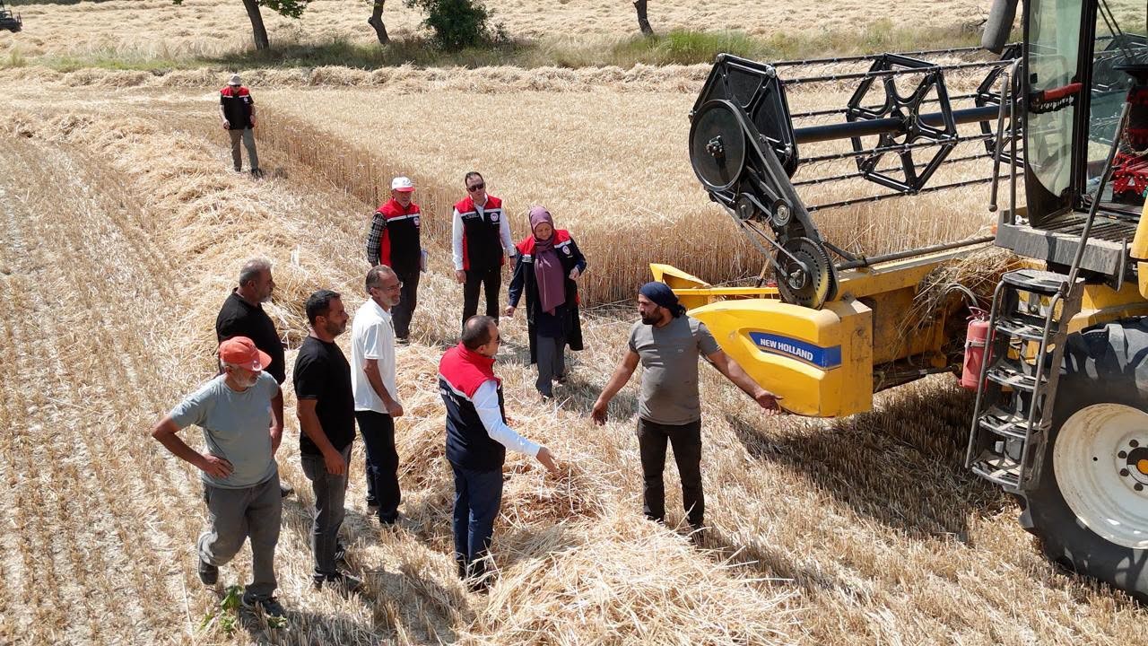 erzincan-da-bugday-hasadi-suruyor-bicerdoverler-denetlendi