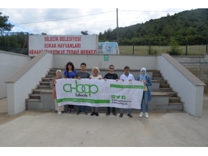 Ahbap Üyelerinden Barınak Ziyareti