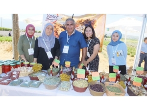 Tıbbı Ve Aromatik Bitkiler Ülkeye Döviz Kazandırıyor