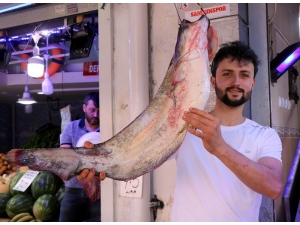Yasak Bitti, Tatlısu Balıkları Tezgahları Süsledi