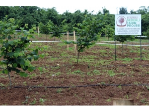 Ferrero, 150 Milyon Tl’lik Yatırım Yapacak