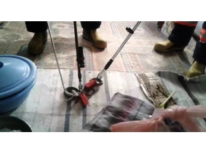 Kuş Kafesine Giren Yılanı İtfaiye Çıkardı