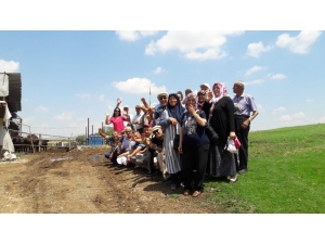 Koca Çınarlar Köy Ziyaretlerine Başladı