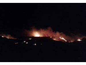 Mardin’de Son İki Günde 140 Yangına Müdahale Edildi