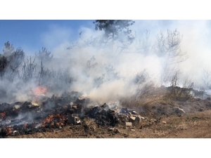 Bursa’da Orman Yangını