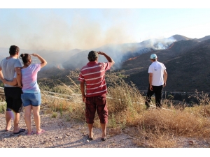 Bodrum’da Korkutan Yangın