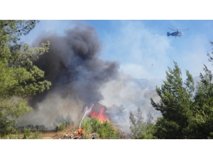 Silifke’de Çıkan Yangında 4 Hektar Alan Zarar Gördü