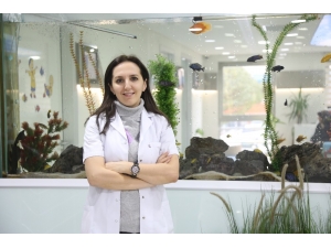 Aşırı Terleyenler Dikkat