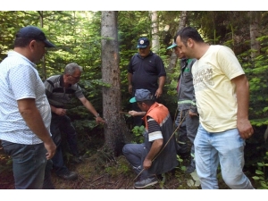 Dumansız Yangınla Biyoteknik Mücadele