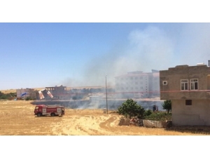 Anız Yangını Korkuttu