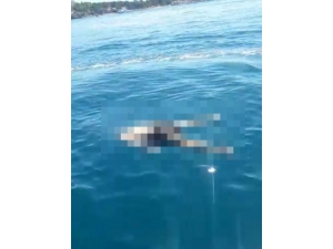 Üzerinde Sadece Şort Ve Spor Ayakkabı Olan Erkek Cesedi Bulundu