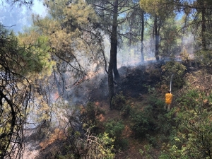 Buldan’da 1 Hektar Alan Kül Oldu