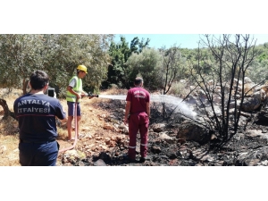 Kaş’ta Makilik Alanda Yangın