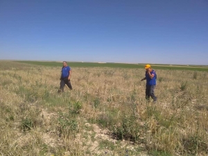 Kayıp Engelli Çocuk Aranırken Çukura Düşen Koyun Kurtarıldı