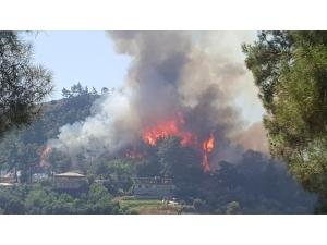 Manavgat’ta Orman Yangını (1)