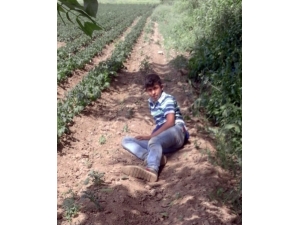 Konya’da Kaybolan Çocuk Bulundu