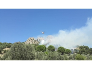 Gömeç’te Çıkan Orman Yangınında 1 Hektar Alan Zarar Gördü