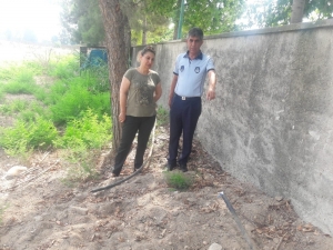 Hırsızlar Onlarca Köpeği Susuz Bıraktılar