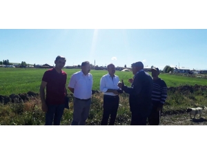 Kars’ta Arazi Ekiliş Kontrolleri Devam Ediyor