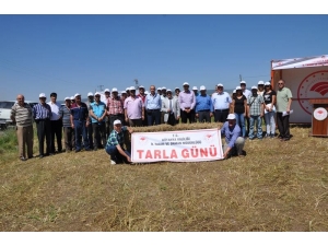 Müdür Vekili Mustafa Kurt: Kütahya’da 50 Bin Hektar Nadas Alanı Var