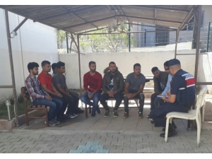 Ayvalık’ta 10 Bangladeşli Kaçak Yakalandı