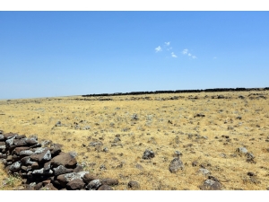 Siverek Organize Sanayi İçin İlk Adım Atıldı