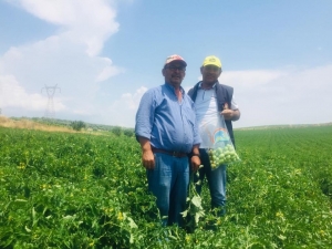 Salihli’de Gıdalar Sofraya Gelmeden Tarlada Denetleniyor