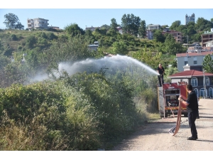 Sinop’ta Ot Yangını
