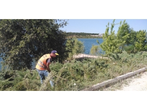 Bilecik Belediyesi Tarafından Kapsamlı Ot Temizliği