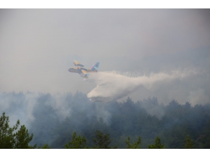 Soğukoluk Yaylası’nın Eski Haline Gelmesi 50 Yıl Sürecek
