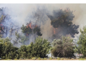 Esnaf, İtfaiye Ve Orman Müdürlüğü Ekiplerinden Yangın Seferberliği