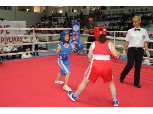 Türkiye Boks Şampiyonası Başladı