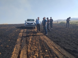 10 Dönümlük Arpa Tarlası, Yangında Kül Oldu