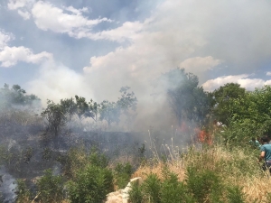 Fıstık Bahçelerine Sıçrayan Yangın Bir Çok Ağacın Yanmasına Neden Oldu