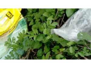 Mudurnu Çayı Kenarına Atılan Kimyasal Madde Çuvalları Tepkiye Neden Oldu