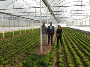 Köyden Kente Göçü Azaltma Projelerine Devlet Desteği