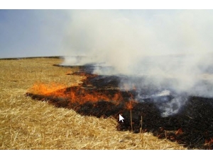 Anız Yakanlara İdari Para Cezası