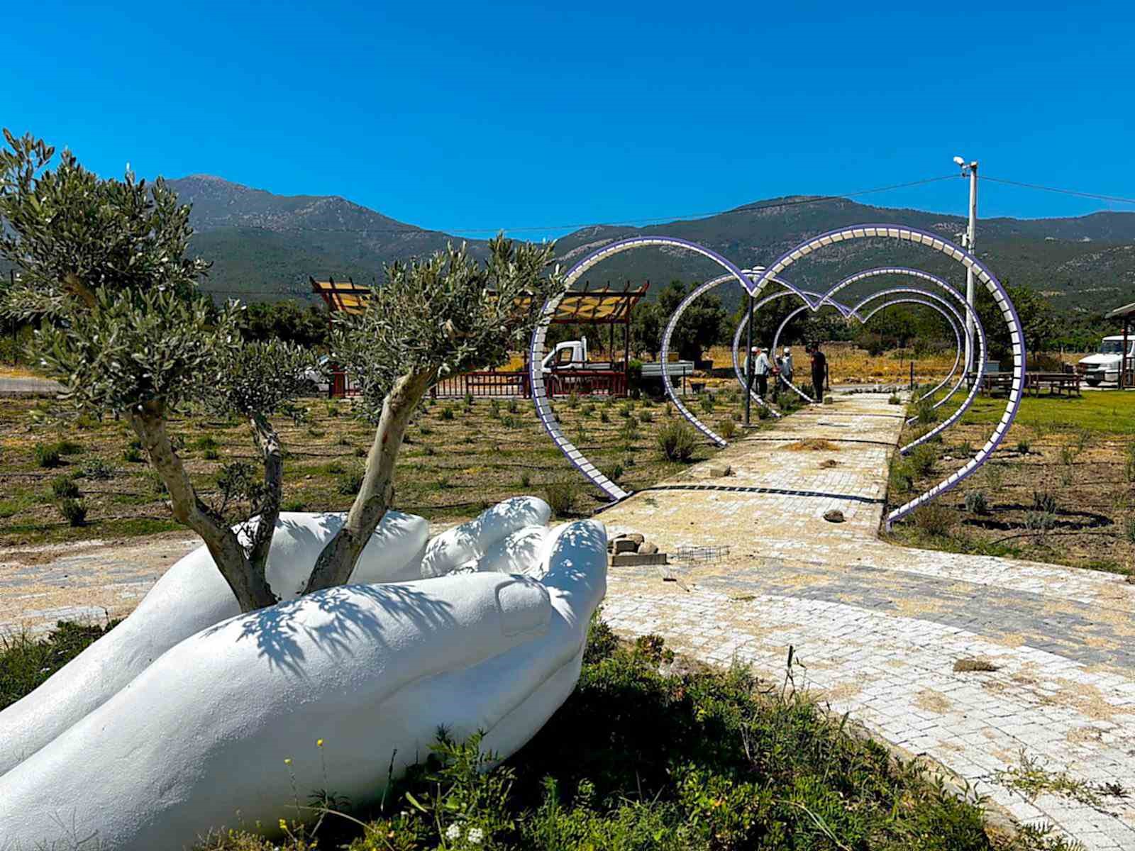 fotograf-tutkunlari-soke-de-lavanta-bahcesine-akin-edecek