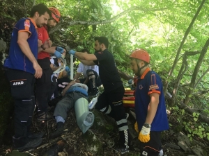 Uludağ’da Ihlamur Toplarken Ağaçtan Düştü, Yardımına Kurtarma Ekipleri Koştu