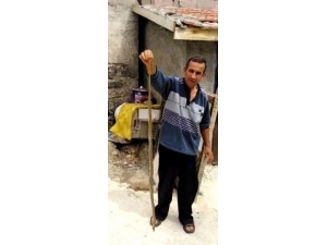 Yılan Civcivleri Ve Kanaryaları Yuttu