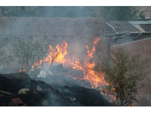 Ot Yangını Korkuttu