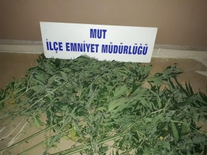 Polis Ve Jandarma Ekipleri Uyuşturucu Tacirlerine Ve Hırsızlara Göz Açtırmıyor