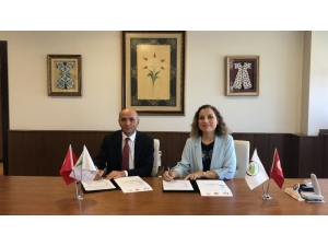 Tıbbi Bitki Yetiştirilmesi İçin İmzalar Atıldı