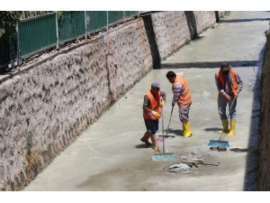 Derelerde Temizlik Çalışmaları Sürüyor